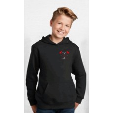 Youth Pullover Hooded Sweatshirt 